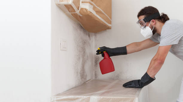 Professional Bathroom Mold Removal technician working in Bloomington, TX