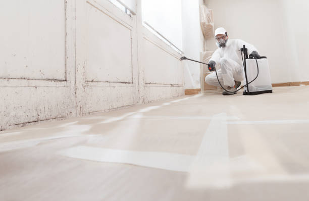 24/7 Emergency Bathroom Mold Removal experts in Bloomington, TX